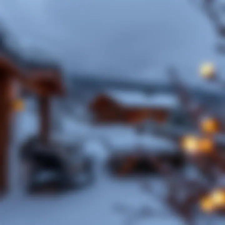 Magnificent Comprehensive Guide to Mamzar Park Chalet Booking