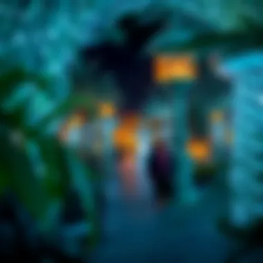 Magnificent Exploring Dubai's Illumination: The Light Garden