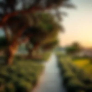 Magnificent Exploring Hamriya Park: A Gem in Dubai's Urban Landscape Magnificent Exploring Hamriya Park: A Gem in Dubai's Urban Landscape