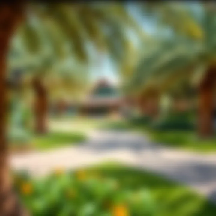 Magnificent Exploring Wadi Park: An In-Depth Look at Dubai's Unique Green Oasis
