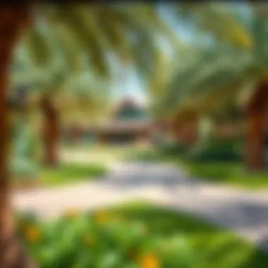 Magnificent Exploring Wadi Park: An In-Depth Look at Dubai's Unique Green Oasis Magnificent Exploring Wadi Park: An In-Depth Look at Dubai's Unique Green Oasis