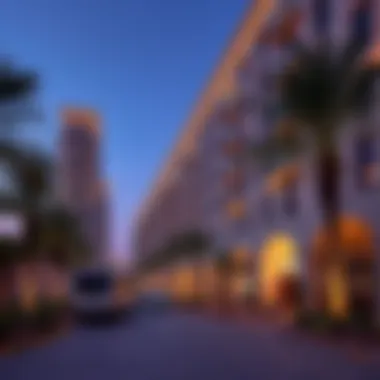 Magnificent Flora West Zone: An In-Depth Guide to a Unique Section of Dubai Magnificent Flora West Zone: An In-Depth Guide to a Unique Section of Dubai