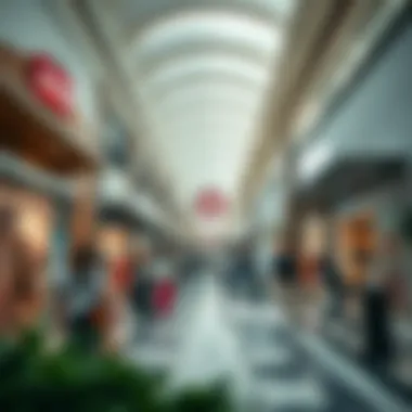 A Comprehensive Exploration of Outlets in Dubai Summary A Comprehensive Exploration of Outlets in Dubai Summary