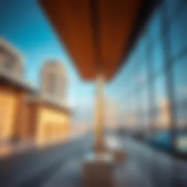 An Exploration of Arjan Skyline Summary