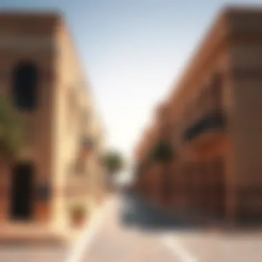 Notable An In-Depth Exploration of Al Dhafra, UAE