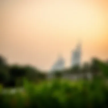 Exploring Al Jazeera Park: A Blend of Nature and Urban Life Summary