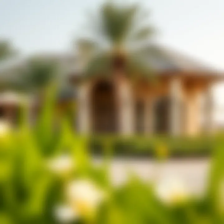 Luxurious amenities within Al Muneera community