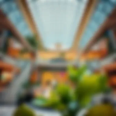 Exploring Algurer Mall: A Comprehensive Overview of Its Distinctive Features and Offerings Summary Exploring Algurer Mall: A Comprehensive Overview of Its Distinctive Features and Offerings Summary