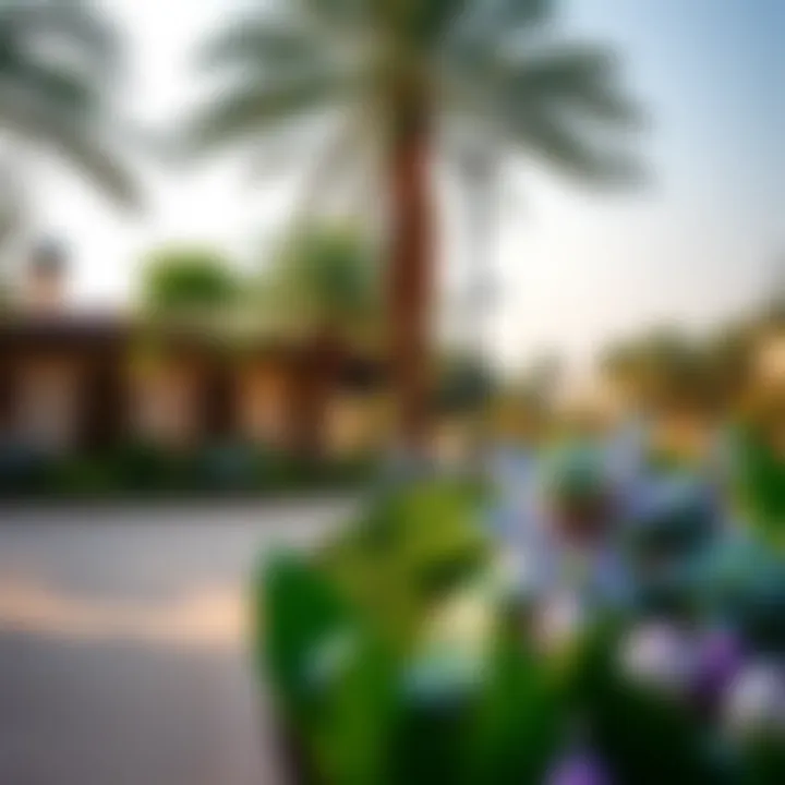 Local amenities and green spaces in Al Quoz