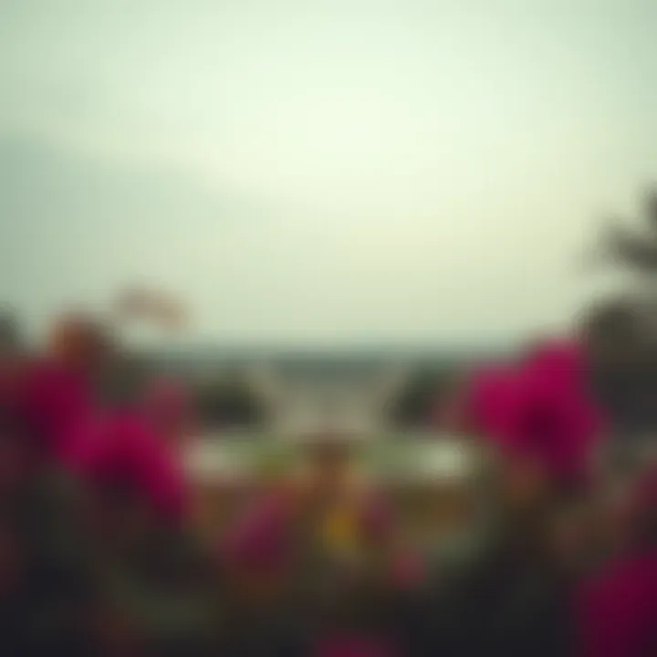 Exploring Hamriya Park: A Gem in Dubai's Urban Landscape Introduction