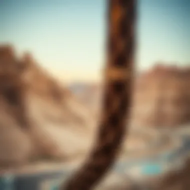 Notable Exploring Jebel Jais: A Comprehensive Guide for Dubai Enthusiasts Notable Exploring Jebel Jais: A Comprehensive Guide for Dubai Enthusiasts