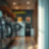 Exploring Laundry Services in Tecom: A Comprehensive Guide Introduction
