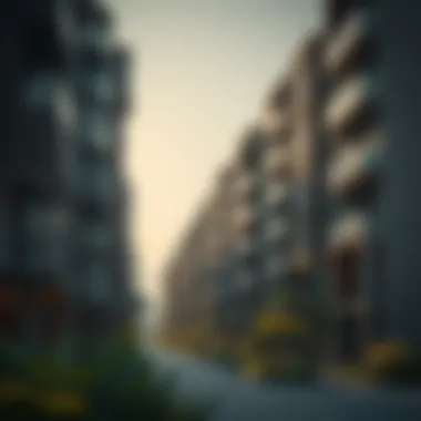 Exploring مجمع الريف: An In-Depth Look at a Dubai Neighborhood Summary Exploring مجمع الريف: An In-Depth Look at a Dubai Neighborhood Summary