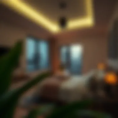 Notable Exploring Monthly Studio Room Rentals in MBZ City: A Comprehensive Guide Notable Exploring Monthly Studio Room Rentals in MBZ City: A Comprehensive Guide