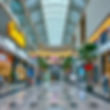 Exploring Oasis Mall Dubai: An In-Depth Perspective Summary