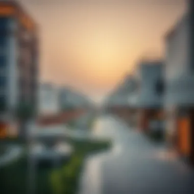 Exploring Rozana Al Reem: A Key Area in Dubai Real Estate Summary Exploring Rozana Al Reem: A Key Area in Dubai Real Estate Summary