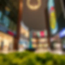 Exploring the Dynamic Relationship Between Dubai Mall and Lulu Hypermarket Introduction