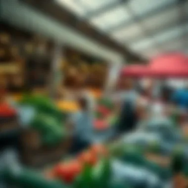 Notable Exploring the Farmers Market in Dubai