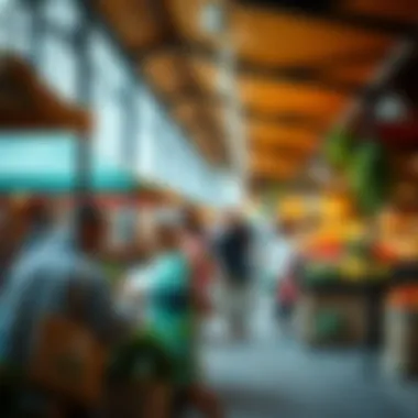 Exploring the Farmers Market in Dubai Summary Exploring the Farmers Market in Dubai Summary