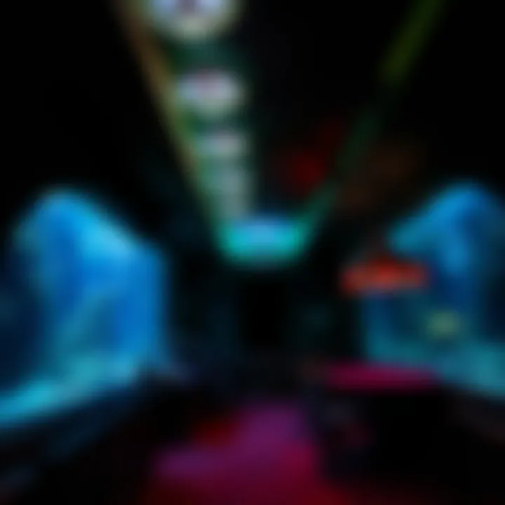 Exploring the Lost Chambers Aquarium: A Deep Dive into Aquatic Marvels Summary