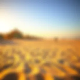 Golden sands of Dubai's Open Beach