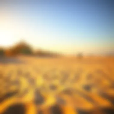 Golden Sands of Dubai's Open Beach Golden sands of Dubai's Open Beach