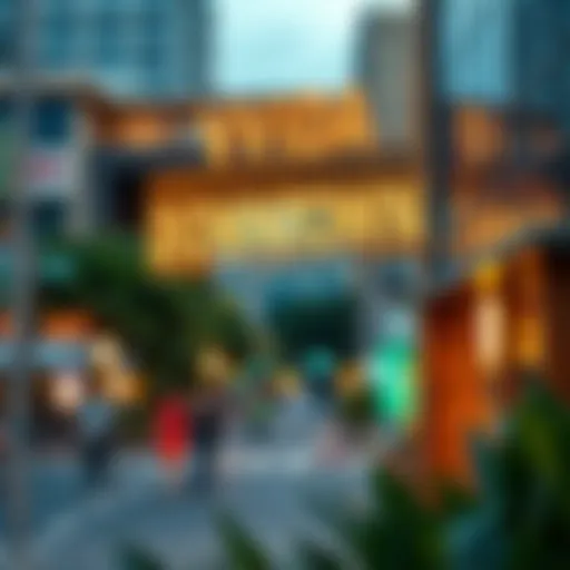 Exploring Vida Downtown: A Comprehensive Overview Introduction