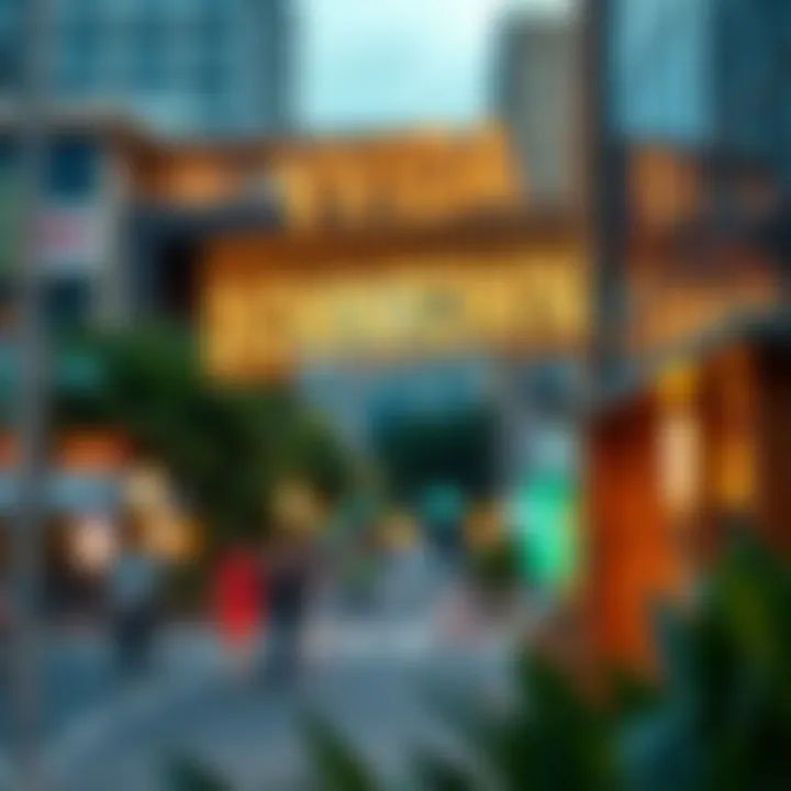 Exploring Vida Downtown: A Comprehensive Overview Introduction