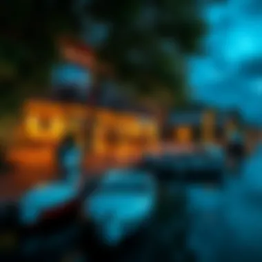 Exploring Viewz by Danube: A Comprehensive Guide Summary