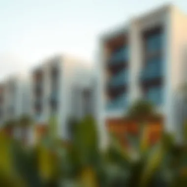 Notable Exploring Wellington Residences in Al Furjan Notable Exploring Wellington Residences in Al Furjan