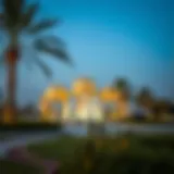 Parks in Khalifa City: A Comprehensive Overview Introduction