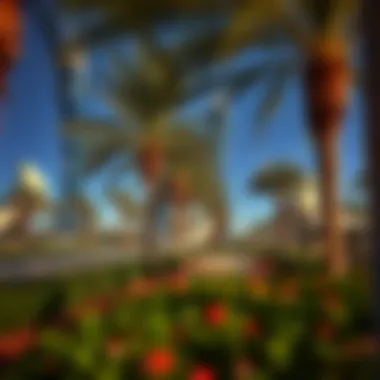 Parks in Khalifa City: A Comprehensive Overview Summary Parks in Khalifa City: A Comprehensive Overview Summary