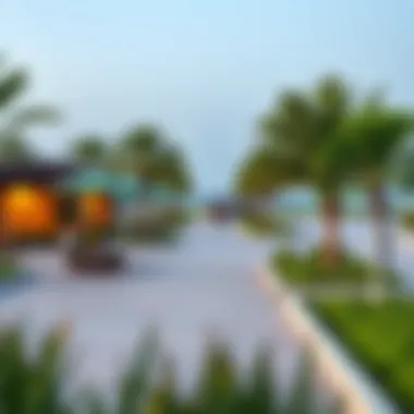 Community Amenities on Radiant Reem Island Vibrant community amenities including parks, recreational areas, and waterfront activities.
