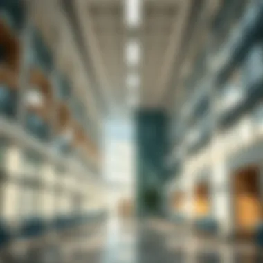 Interior of a modern educational institution in Sabis Khalifa City