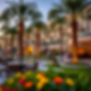 Lifestyle Amenities in Sabis Khalifa City Vibrant lifestyle amenities available in Sabis Khalifa City