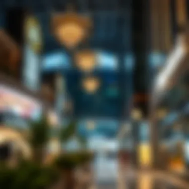 Shopping Destinations in Dubai Summary