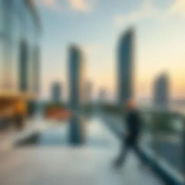 Understanding the Oasis Towers: A Comprehensive Overview Summary Understanding the Oasis Towers: A Comprehensive Overview Summary