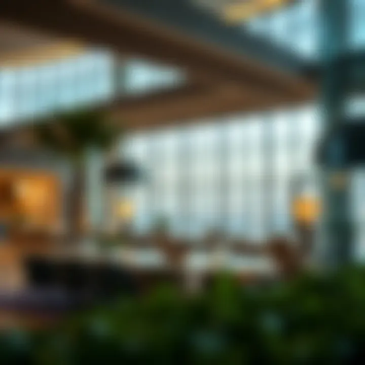Understanding Visa Categories in the UAE: A Comprehensive Guide Summary