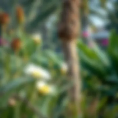 Flora and fauna within Zaabeel Park, highlighting biodiversity