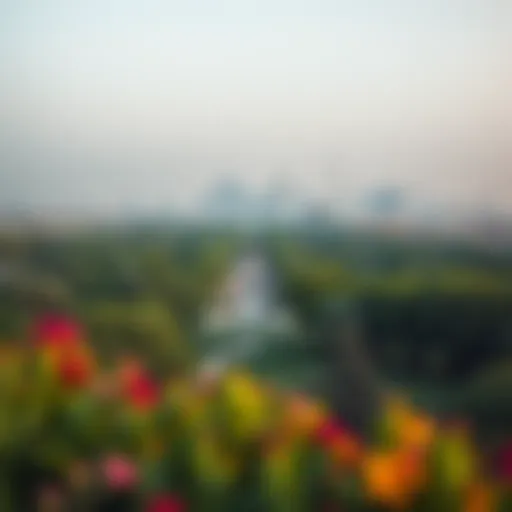 A panoramic view of Zaabeel Park showcasing lush greenery and urban skyline